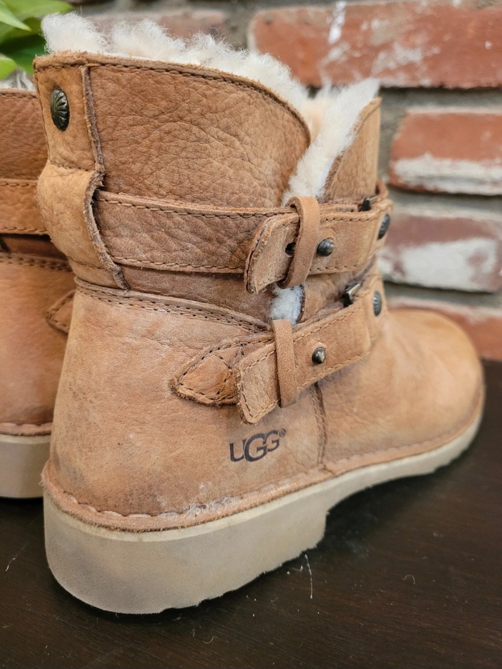 UGG Chestnut Shearling Short Boot